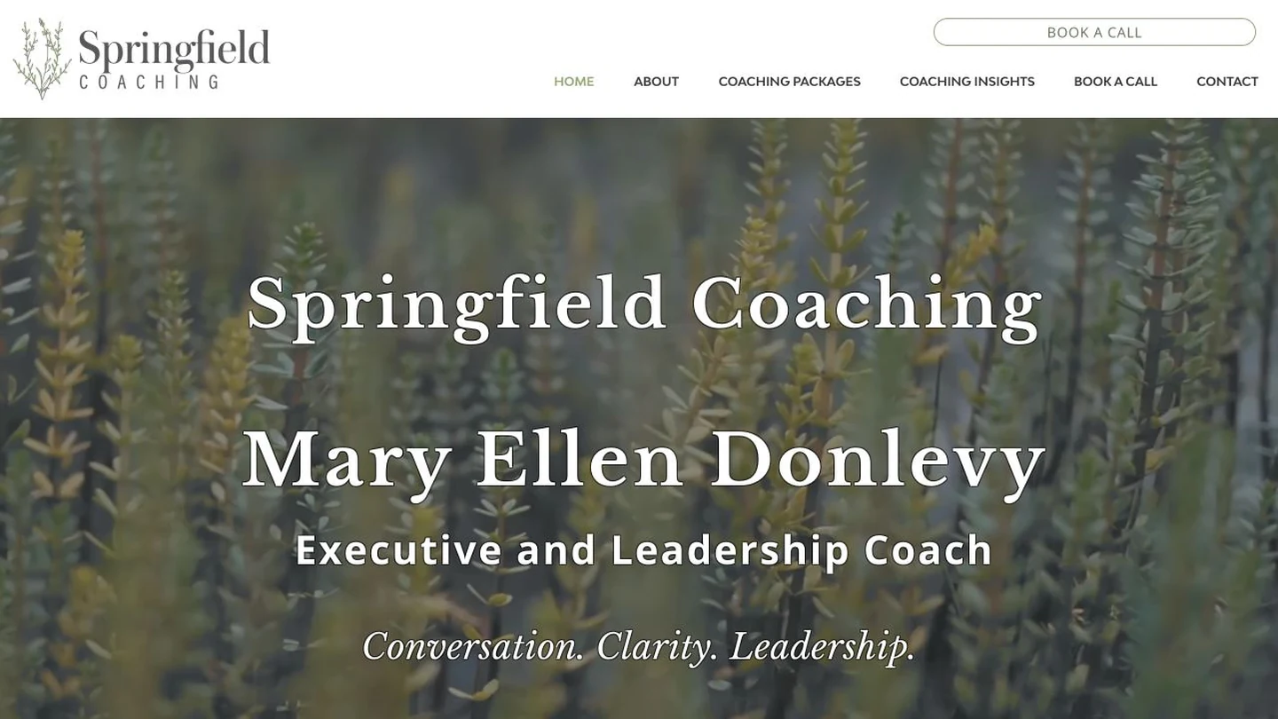 Springfield Coaching live homepage introducing Mary Ellen Donlevy, executive and leadership coach