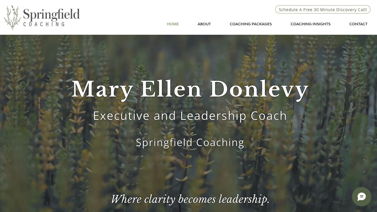 Springfield Coaching homepage featuring Mary Ellen Donlevy and her executive and leadership coaching services